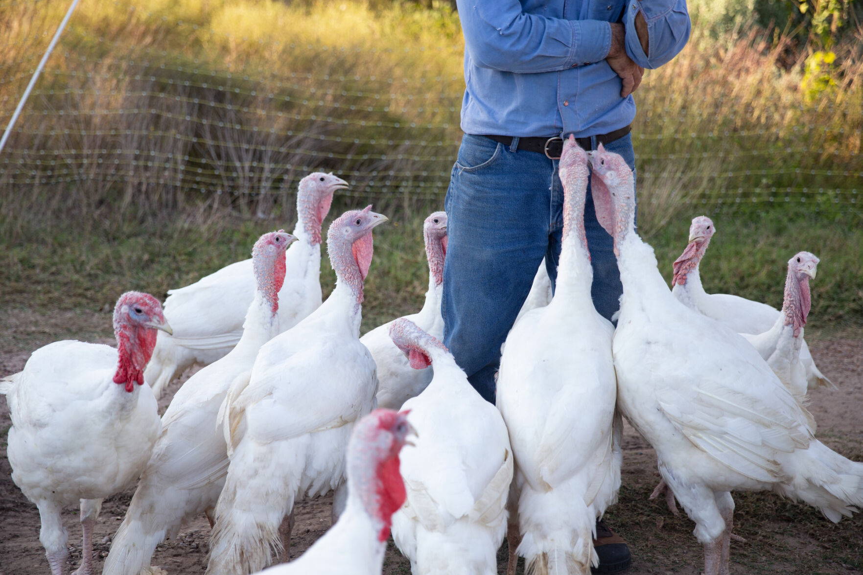 Henneke Farms